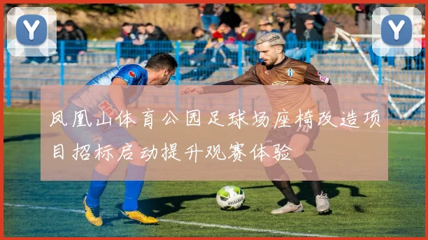 凤凰山体育公园足球场座椅改造项目招标启动提升观赛体验