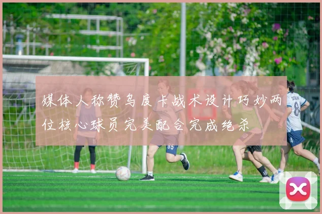 媒体人称赞乌度卡战术设计巧妙两位核心球员完美配合完成绝杀